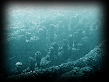 Volunteer Below Water